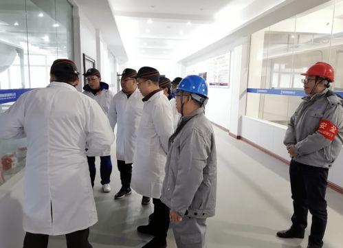 專業(yè)咨詢賦能項目管理 湘核新材項目管理咨詢服務(wù)解決方案